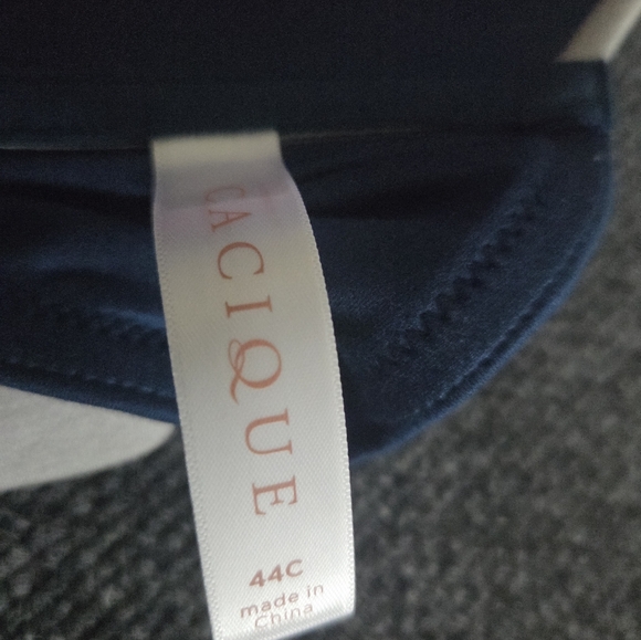 Cacique Seamless Blue Pink Bras Adjustable Straps 42C - Picture 4 of 5